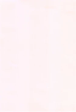 Page 236 of Pako Rush! | 狂抽猛插!