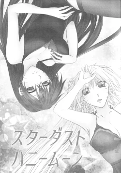 Page 4 of Stardust Honeymoon