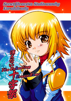 Download SECRET FILE NEXT 12 - The Unhealing Cross Scar