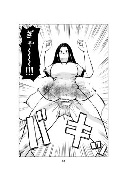 Page 14 of Sao Ire Kyousou