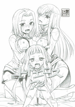 Download CODE EROSS R2