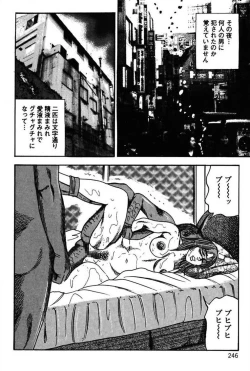 Page 248 of Niizuma No Shuuchi Play