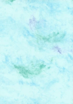 Page 2 of Too Shy Shy Boy