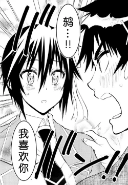 Page 13 of Nisenisekoi 7