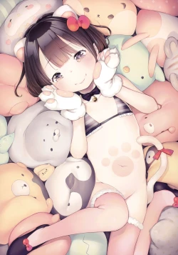 Page 51 of henreader-GA