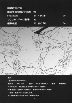 Page 33 of Kagami no Naka no CHERRIES