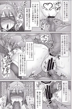 Page 27 of Raygis Valicess Elsain "Daimaseibo Tokuin Henrin"