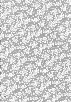 Page 97 of Uruwashi no Vinca Major