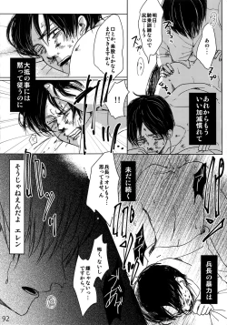 Page 91 of LeviEre Sairokushuu