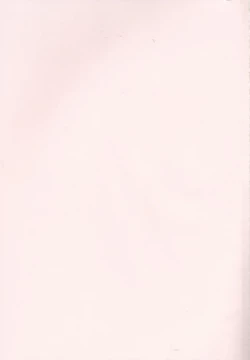 Page 2 of Yasashiikimi