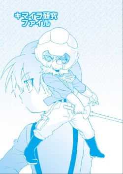 Page 3 of Kimaira Kenkyuu File - Chimera Research File
