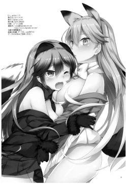 Page 17 of D.L. action 115