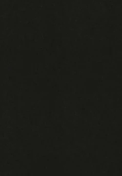 Page 3 of Thoroughbred Early Days