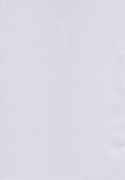 Page 2 of Yoru no Otsutome Z