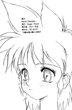 Page 21 of Metal Chember