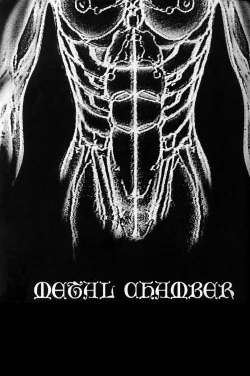 Page 3 of Metal Chember