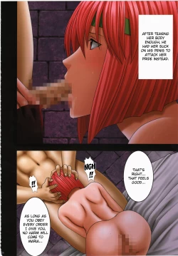 Page 27 of Shin Monshou no Kizuato