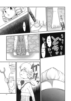 Page 15 of Yousei Jikken