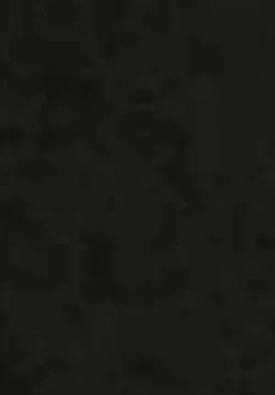 Page 21 of ASSTRSRVNT