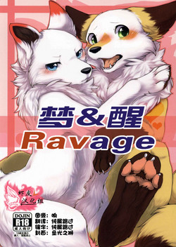 (Kansai! Kemoket 5) [D-Point! (Diga Tsukune)] Yume Utsutsu Lovage | 梦&醒 Ravage [Chinese] [虾皮汉化组]