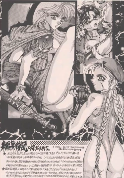 Page 28 of BEST OF DANGER ZONE 6.5