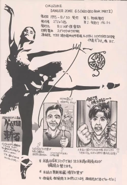 Page 30 of BEST OF DANGER ZONE 6.5