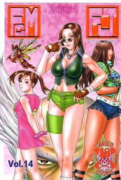 Download FIGHTERS GIGAMIX FGM Vol.14