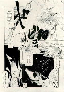 Page 206 of COMIC RiN 2009-06