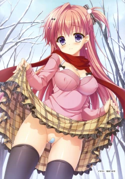 Page 12 of Denkigai Matsuri 2017 WINTER in Heiwajima Official Visual Booklet