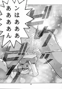 Page 14 of Human High-Light Film VII