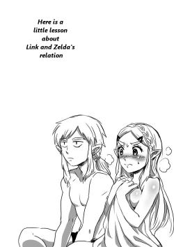 Page 1 of Link to Zelda no Shoshinsha ni Yasashii Sex Nyuumon | Here is a little lesson about Link and Zelda's relation