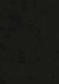 Page 21 of ASSTRSRVNT