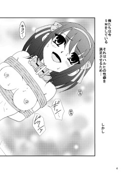 Page 5 of Suzumiya Haruhi-san no Kiken na Ai Taiken 3