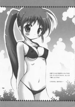 Page 13 of VITA CHANNEL 1.5