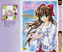 Download Marshmallow Box