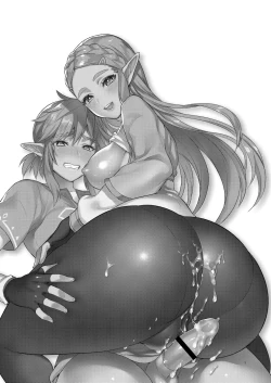 Page 2 of Hyrule Hanei no Tame no Katsudou! | Activities for the Sake of Hyrule’s Future!