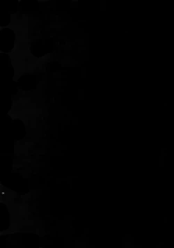 Page 2 of Shinen ni Itaru Koi