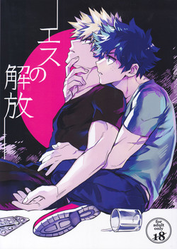 Download Es no Kaihou