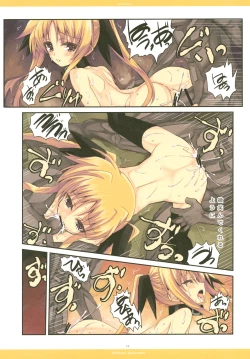 Page 13 of LUCE DORATA