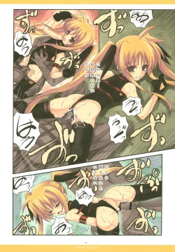 Page 6 of LUCE DORATA