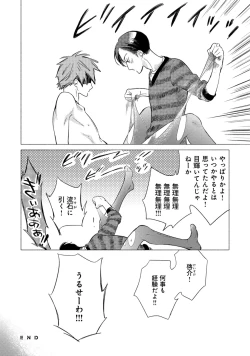 Page 240 of Jackass!