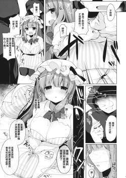 Page 7 of Iinari Patchouli-sama