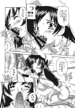 Page 12 of Chikan Ishi Soushuuhen