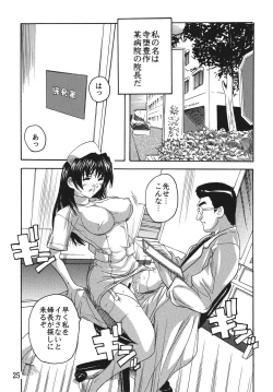 Page 25 of Chikan Ishi Soushuuhen