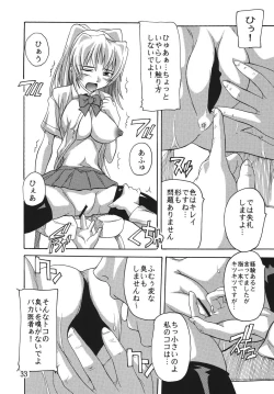 Page 33 of Chikan Ishi Soushuuhen
