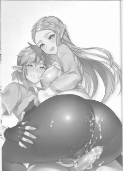 Page 2 of Hyrule Hanei no Tame no Katsudou!