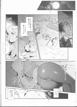 Page 7 of Hyrule Hanei no Tame no Katsudou!