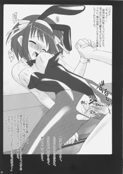 Page 22 of Suzumiya Haruhi no Mutsugoto II