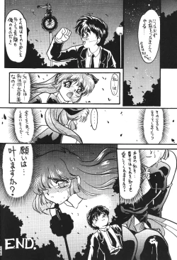 Page 258 of KATZE 12