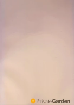 Page 3 of Illustrious Shabaora